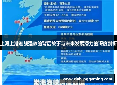 上海上港迎战强敌的背后故事与未来发展潜力的深度剖析