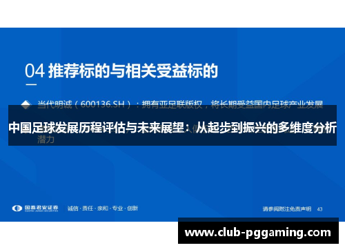 中国足球发展历程评估与未来展望：从起步到振兴的多维度分析