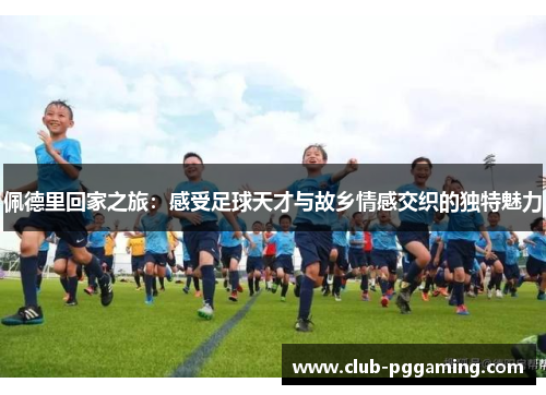 佩德里回家之旅：感受足球天才与故乡情感交织的独特魅力