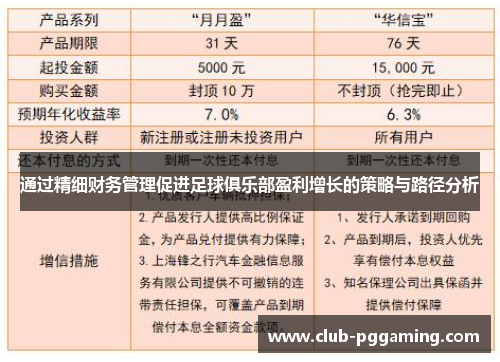 通过精细财务管理促进足球俱乐部盈利增长的策略与路径分析