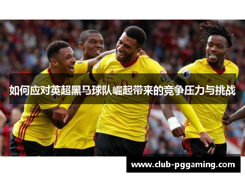 如何应对英超黑马球队崛起带来的竞争压力与挑战