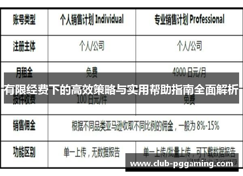 有限经费下的高效策略与实用帮助指南全面解析