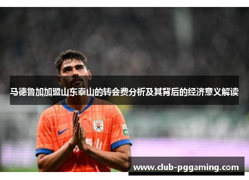 马德鲁加加盟山东泰山的转会费分析及其背后的经济意义解读
